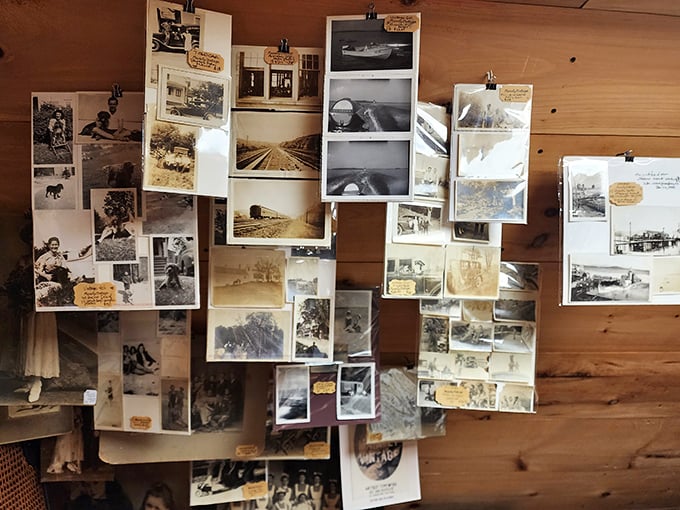 A wall of memories frozen in time. These snapshots offer glimpses into lives lived, adventures had, and hairstyles we'd rather forget.