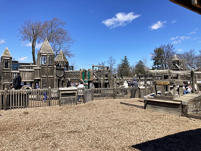 A bird's eye view of adventure! From up here, it's easy to imagine you're surveying your own wooden kingdom. Watch out for invading pirates... or parents!