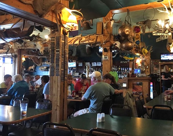 No need for a safari - the wildlife's all indoors! These diners are enjoying their meals under the watchful eyes of the local fauna.