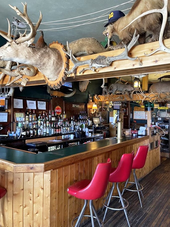 At this bar, you're never drinking alone! The menagerie above ensures you've always got an audience for your wild stories.