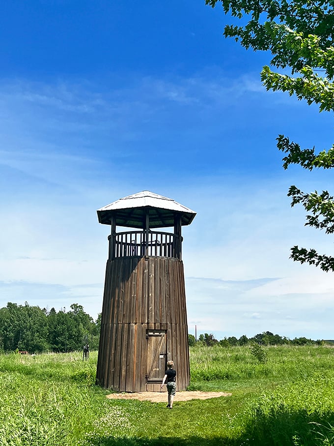 "The ultimate treehouse for grown-ups." This wooden tower offers a bird's-eye view of the park, perfect for spotting wild art in its natural habitat.