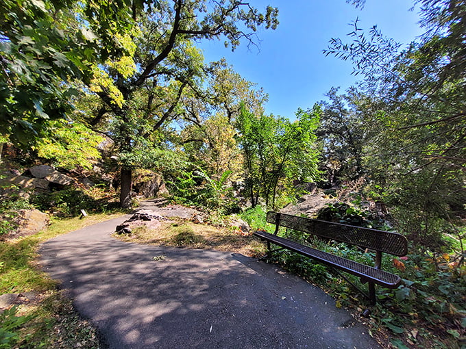 Take a load off and soak in the view. This bench is nature's way of saying, "Slow down, you're on vacation time now."