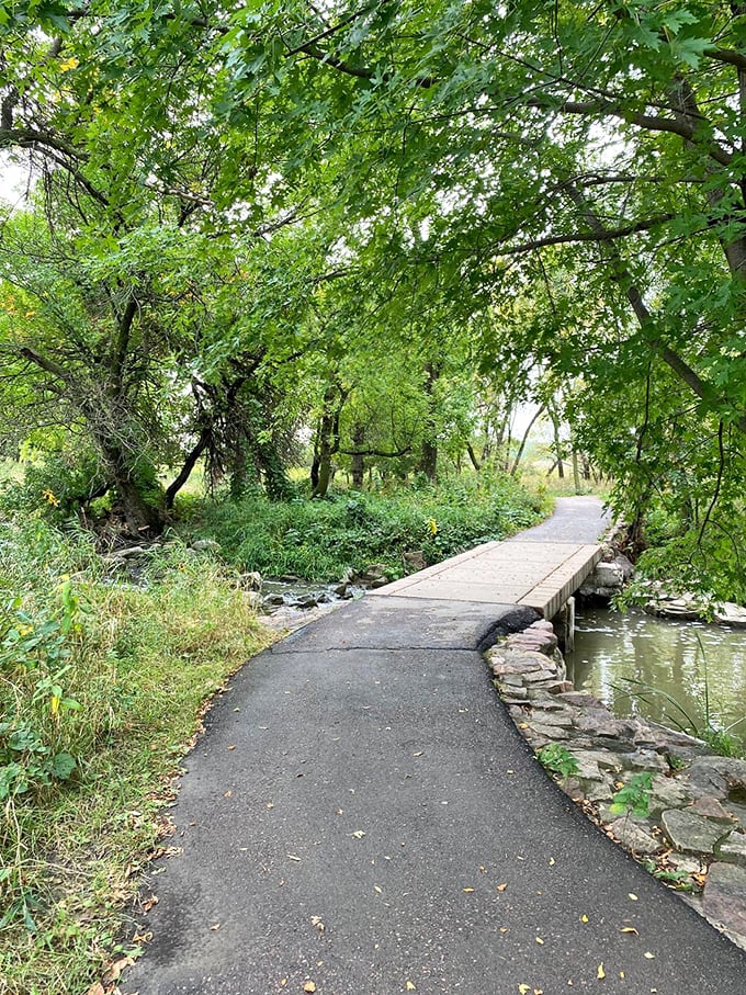 Follow the yellow brick… er, asphalt road. This winding trail promises more twists than a mystery novel, with scenery to match.