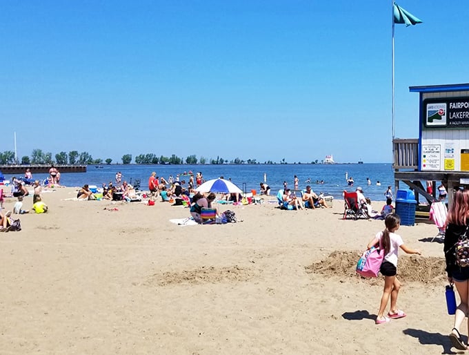 "Beach day bingo: umbrellas, sandcastles, and is that... a lighthouse? Ohio, you sly dog, you've been holding out on us!"