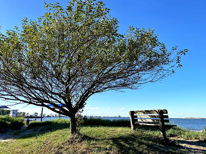 "The ultimate 'branch' office. Where conference calls are replaced by seagull squawks and your only deadline is sunset."