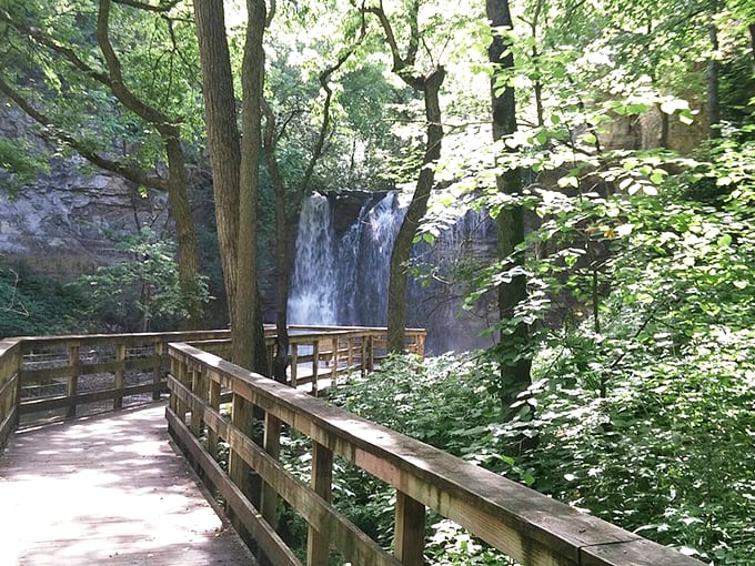 Who needs a red carpet when you've got this wooden walkway? It's nature's VIP entrance to a watery wonderland.