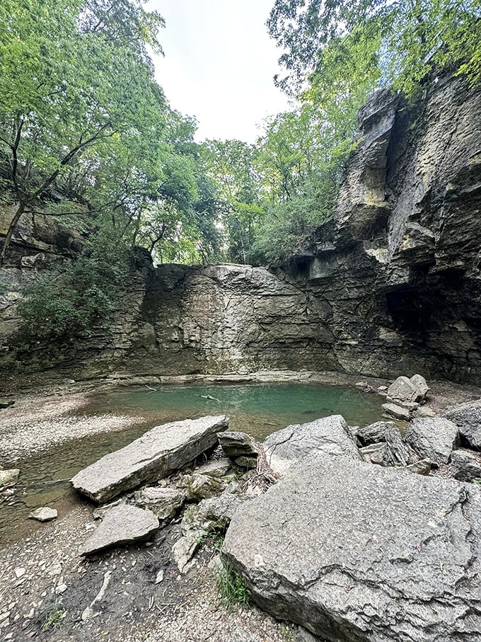 Crystal clear and cool as a cucumber. This pool's more refreshing than a mint julep on a hot summer day.