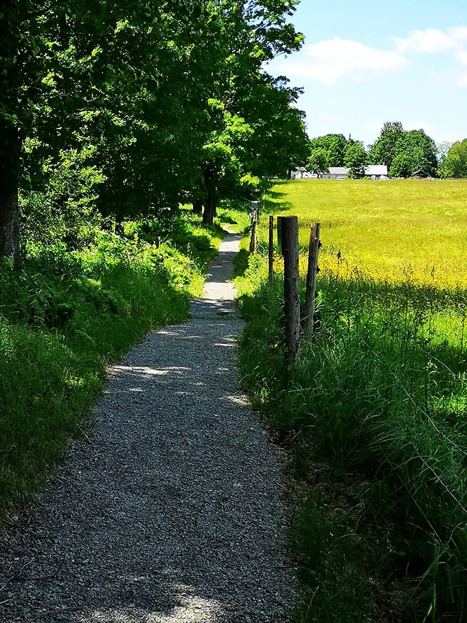 Nature's red carpet to the past. This trail invites you to take a stroll through time, with a side of fresh air and birdsong.