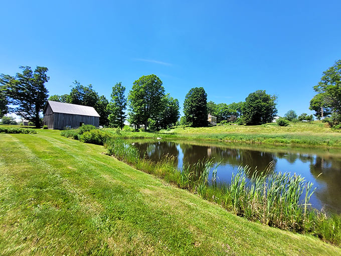 Serenity now! This picturesque scene is like a Bob Ross painting come to life. Happy little trees and a tranquil pond included.