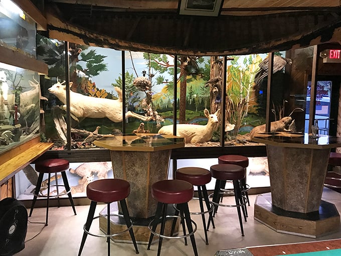 Step into a diorama dreamland where the deer and the antelope play... while you sip your favorite brew. It's like Noah's Ark meets Happy Hour!