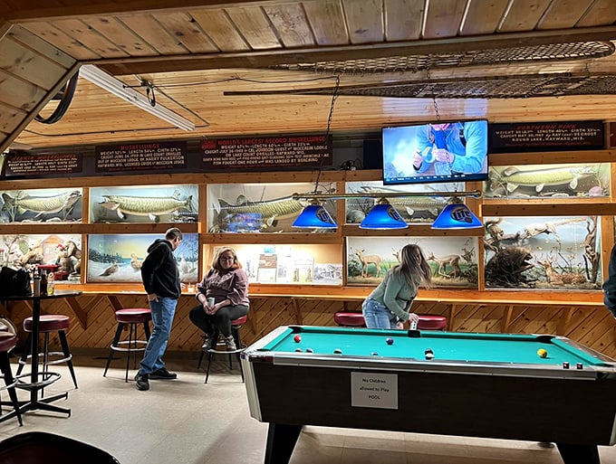 Rack 'em up and watch your aim – these spectators have been known to stare. It's like playing pool in the world's coziest natural history exhibit.