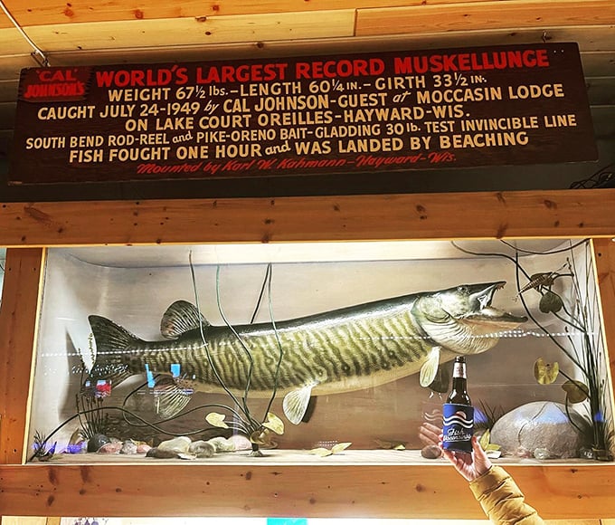 The catch of the day... from 1949! This record-breaking musky has been telling fish tales for over 70 years.