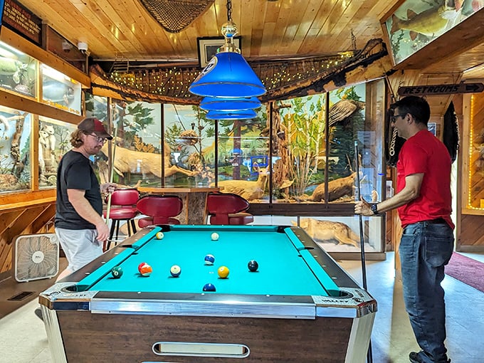 Cue the excitement! Where else can you shoot pool while being watched by a menagerie of Wisconsin's finest? Talk about a captive audience!