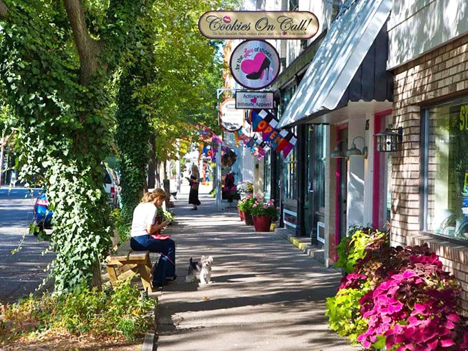 Saugatuck's waterfront: A boater's paradise that's more inviting than a warm chocolate chip cookie on a cool Michigan evening.