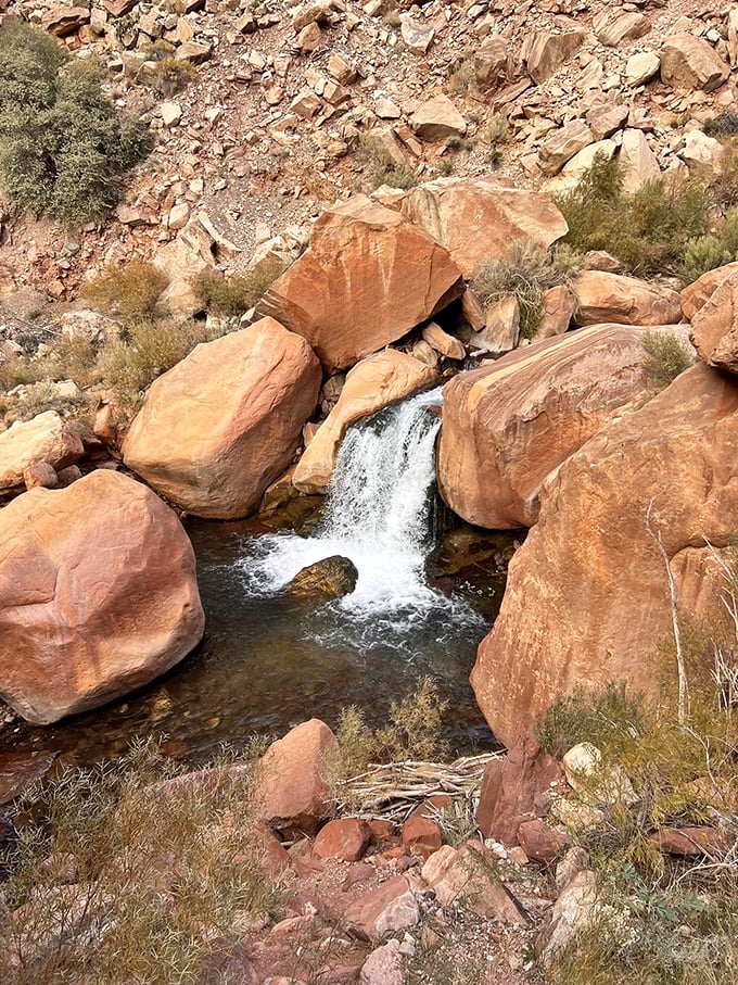 Grand Canyon's hidden gem – Ribbon Falls is nature's ultimate shower curtain.