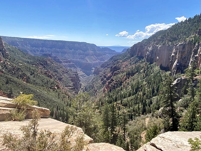 Moss-covered magic! This waterfall turns the rugged canyon into a fairytale scene.