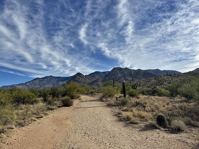 Nature's own infinity pools – Romero Pools are the desert's best-kept secret.