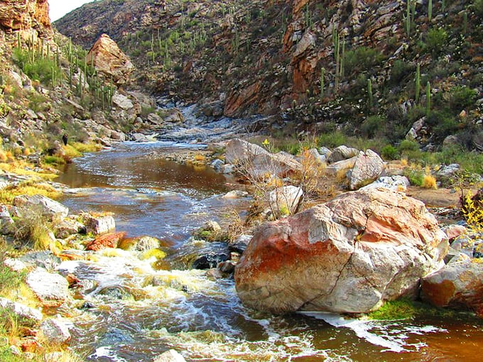 Nature's own swimming hole, complete with a waterfall shower!