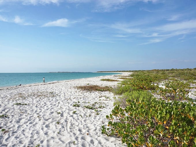 Untouched paradise or the world's best-kept secret? At Cayo Costa, it's definitely both.