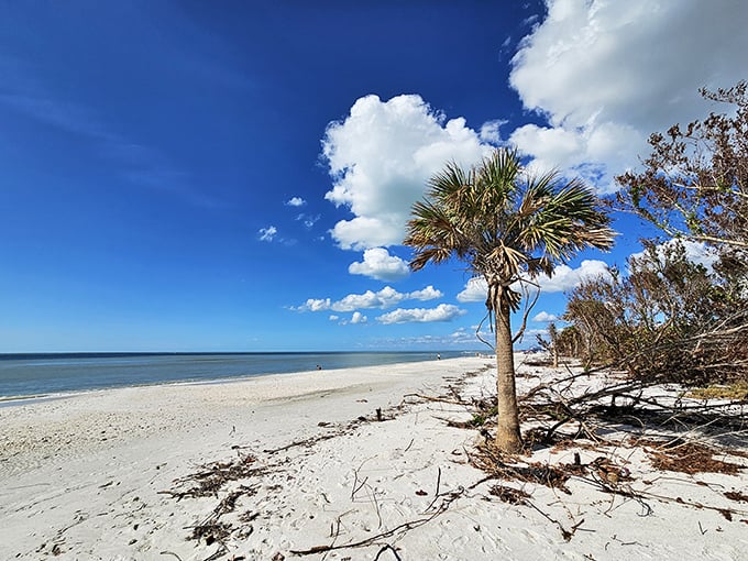 Nature's own red carpet, leading to a VIP beach experience. Sunglasses and autograph book optional.