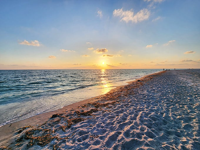 Shell-seekers, unite! This beach is like nature's own treasure hunt, with prizes washing up every minute.