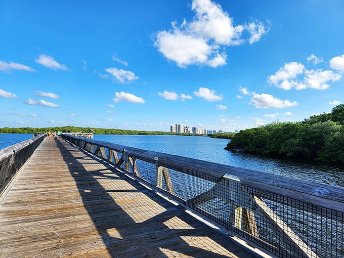 Palm trees, pristine waters, and endless possibilities – it's Florida's greatest hits album in park form!