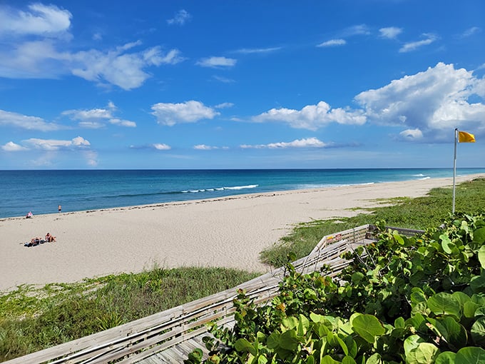 Boardwalks and blue horizons – it's like walking into a perfect postcard, but with better snack options.