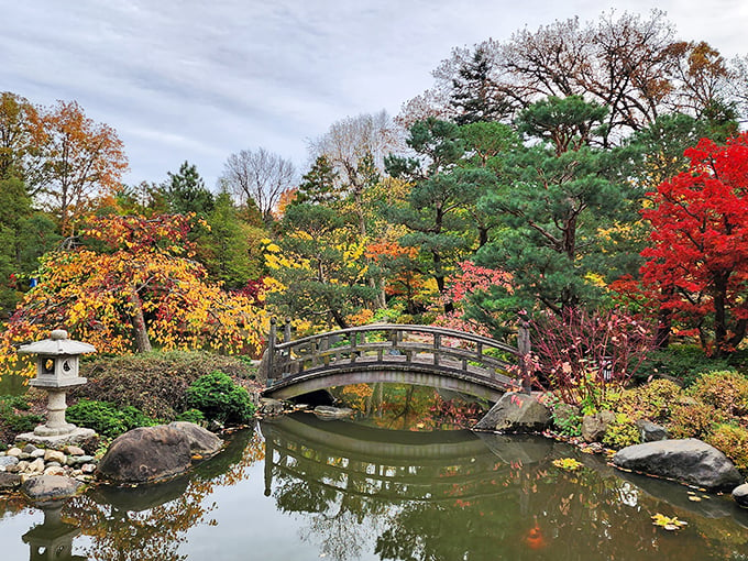 Nature's autumn paintbrush at work. A graceful bridge arches over still waters, framed by a riot of fall colors. Serenity, now! Photo credit: Sabir Kassamally