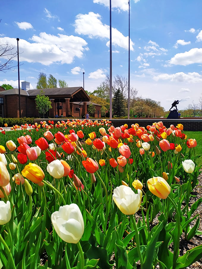 Tulip fever in full bloom! A sea of colorful petals stands at attention, rivaling the most patriotic display. Spring has definitely sprung! Photo credit: Dana Key