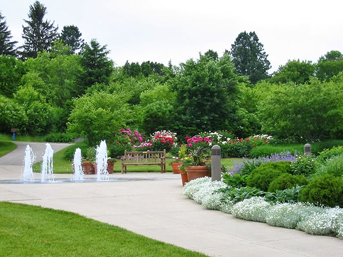 Nature's stairway to heaven. Lush greenery frames these inviting steps, promising a journey into a world of botanical wonders. Photo credit: Klehm Arboretum & Botanic Garden