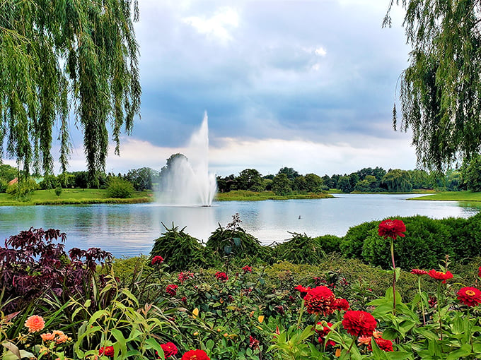 Nature's own fireworks display! This stunning vista of water, willows, and vibrant blooms is Chicago's answer to Monet's garden. Photo credit: Liliya Aronson