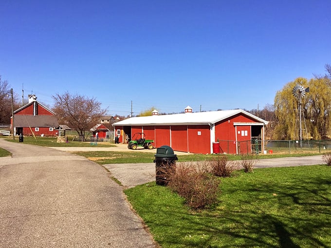 Old MacDonald had a... playground? It's a barnyard bonanza of fun for the whole family!