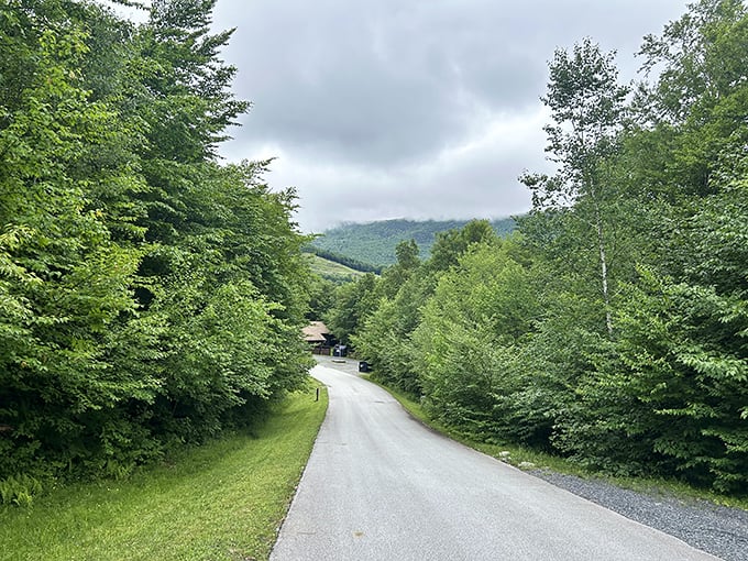 Boulder-dash! Smugglers' Notch is like nature's own game of Tetris, with rocks stacked in gravity-defying ways.