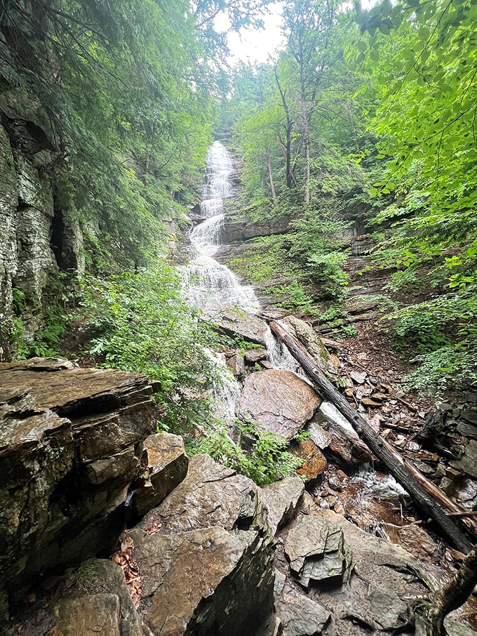 Four seasons of fantastic! Whether roaring in spring or frozen in winter, Lye Brook Falls is a year-round showstopper.