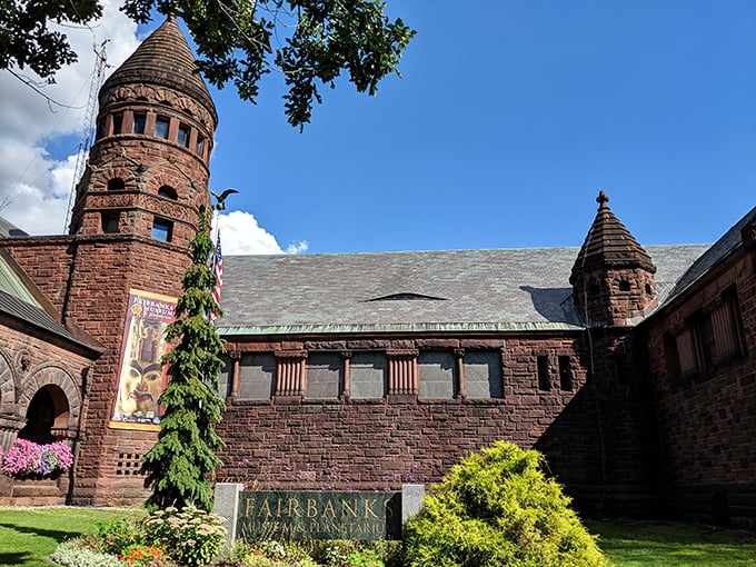 The Fairbanks Museum: Where Victorian curiosity meets cosmic wonder. It's like your eccentric uncle's attic, if he collected galaxies.