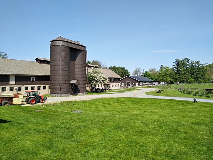 Experience pastoral bliss at Billings Farm! It's like stepping into a Norman Rockwell painting, complete with award-winning cheese.