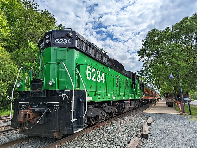 All aboard the envy express! This jade giant is ready to roll you through scenery greener than a kale smoothie.