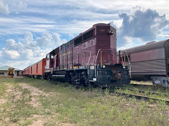 Holy cow, that's one beefy train! This iron horse has more horsepower than a rodeo, and twice the charm.