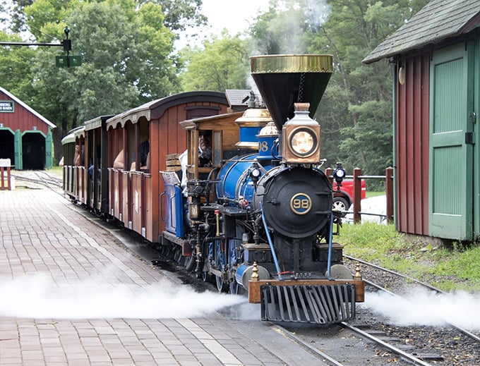 Toot toot! This little engine that could is serving up more charm than your grandma's cookie jar.