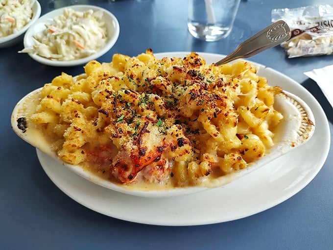 Mac and cheese gets the royal treatment with a crown of crispy breadcrumbs and a hint of seafood luxury. Photo credit: Kayla Robinson