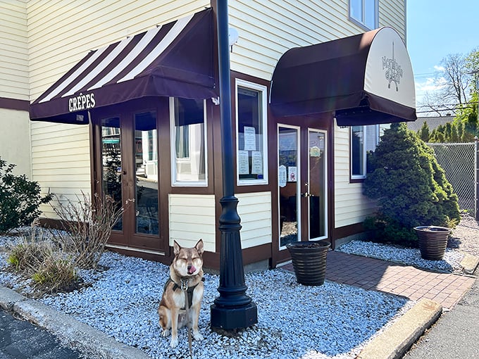 Road trip to Provence? Nope, just Kennebunk! This charming cafe brings France to Vacationland.