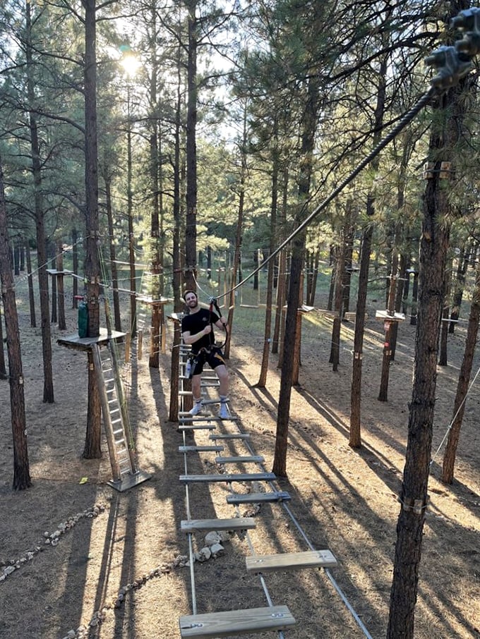 Bridge to Terabithia, eat your heart out! This suspended pathway is where imagination meets reality, high above the forest floor.