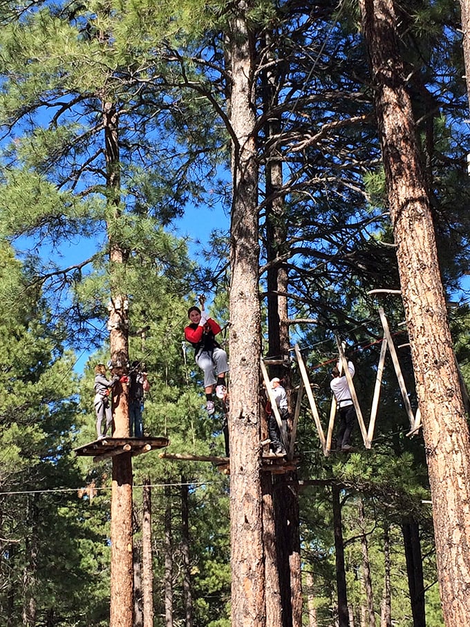 "I'm flying, Jack!" Minus the ill-fated ship, this adventurer is having their own Titanic moment high above the Arizona pines.