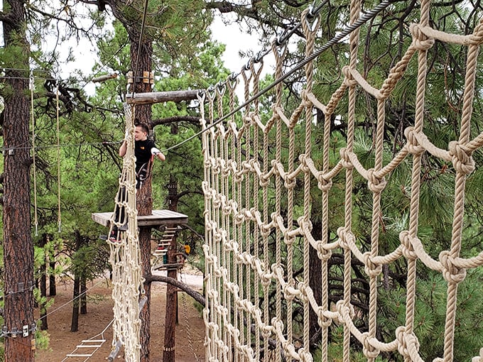 It's a bird, it's a plane, it's... a weekend warrior conquering their fear of heights! This climber is reaching new personal heights.