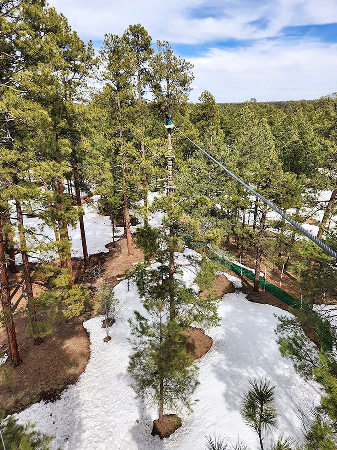 Winter wonderland meets aerial playground. Even Jack Frost can't resist joining in on this snowy adventure.