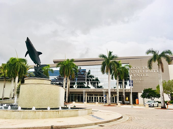 Sharks and higher education swim together! It's like "Jaws" meets "Good Will Hunting" – minus the terror, plus the palm trees.