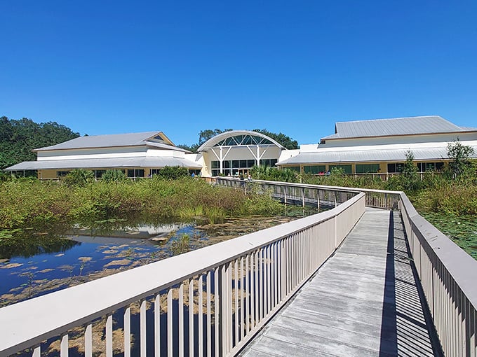 Nature's catwalk at Long Key: Where boardwalks strut their stuff and wildlife puts on a show worthy of Fashion Week.