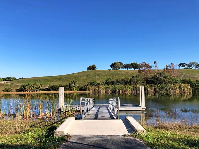 Vista View Park: Where the hills are alive with the sound of... Florida? It's like "The Sound of Music" got a tropical makeover!