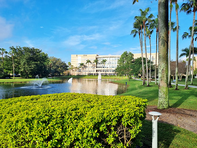 NSU University: Where palm trees line the path to higher education, and fountain-side studying is always in session.