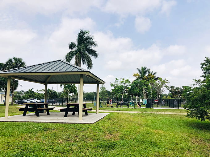 Peaceful Ridge Dog Park: Where pooches party like it's 1999 and humans wish they could join in the fun!